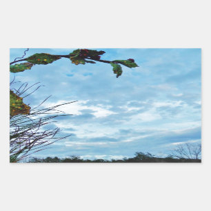 Sticker Rectangulaire Élégant Noël Holly, ciel bleu