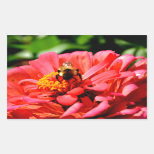 Sticker Rectangulaire Elégante corail rouge floral mignonne bourdon bee
