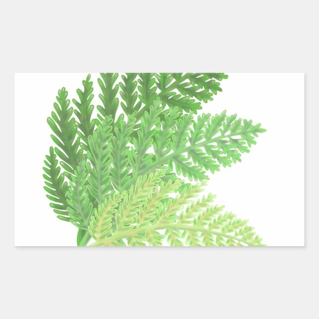 Sticker Rectangulaire Élégante fougères vertes feuilles de bois (Devant)