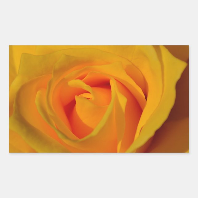 Sticker Rectangulaire Elégante photo de Rose Jaune (Devant)