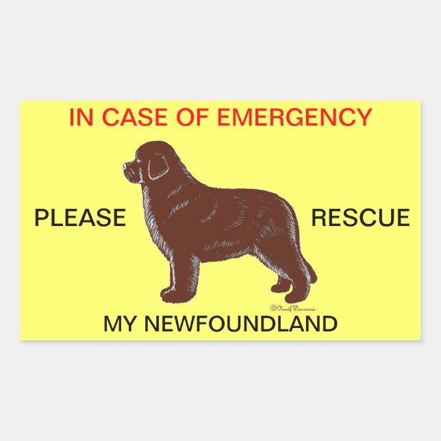 Sticker Rectangulaire En Coque d'urgence Sécurité des chiens de Terre-Ne (Devant)
