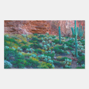 Sticker Rectangulaire États-Unis, Arizona. Flore du désert