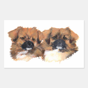 Sticker Rectangulaire Étude de tête de spaniels tibétains