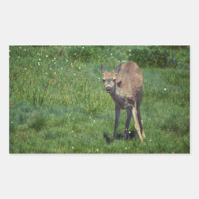 Sticker Rectangulaire Faire face (Devant)