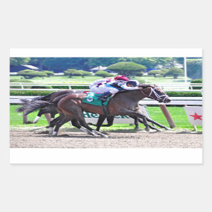 Sticker Rectangulaire Fait varier le pas par le Charlie-Reçu indien