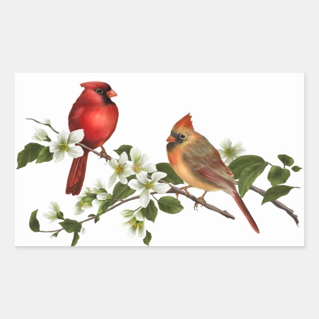 Sticker Rectangulaire Femme Cardinale Homme Dogwood Blossoms Branche (Devant)