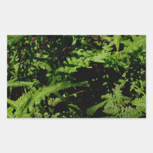 Sticker Rectangulaire Fermes du plancher forestier