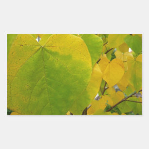 Sticker Rectangulaire Feuilles rouges jaunes et verts