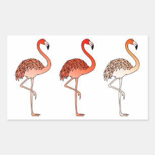 Sticker Rectangulaire Flamants roses couleur corail
