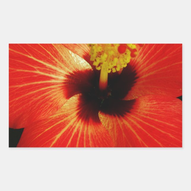 Sticker Rectangulaire Fleur d'Hibiscus rouge-orange (Devant)