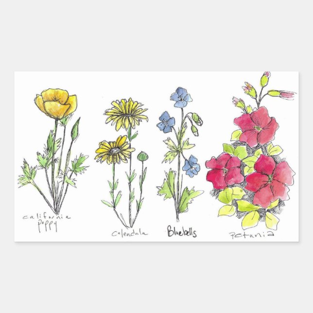 Sticker Rectangulaire Fleur sauvage Dessin noir stylo d'encre aquarelle  (Devant)