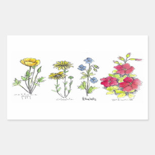 Sticker Rectangulaire Fleur sauvage Dessin noir stylo d'encre aquarelle 