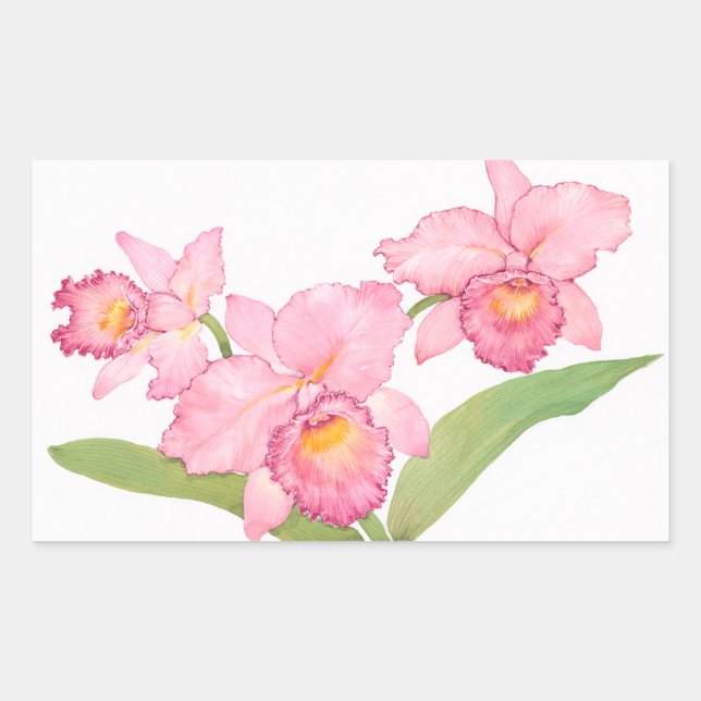 Sticker Rectangulaire Fleurs d'aquarelle rose exotique (Devant)