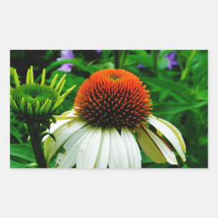 Sticker Rectangulaire Fleurs de cônes blanches et orange