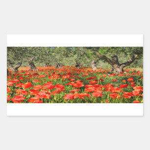 Sticker Rectangulaire Fleurs rouges de pavot sous de vieux oliviers