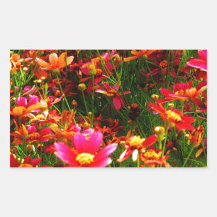 Sticker Rectangulaire Fleurs sauvages rose et jaune pâle