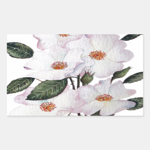Sticker Rectangulaire Floral Art de Roses