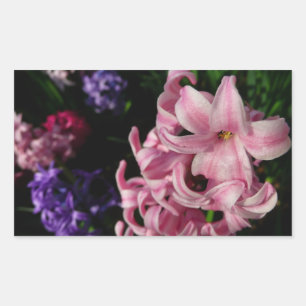 Sticker Rectangulaire Floral Pink Hyacinth