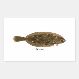 Sticker Rectangulaire Fluke