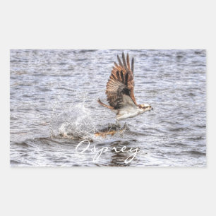 Sticker Rectangulaire Flying Osprey & Fish HDR Wildlife Photo Don
