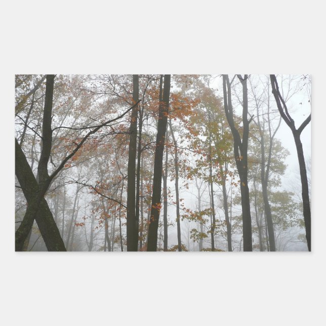 Sticker Rectangulaire Foggy Fall en Pennsylvanie Automne Nature (Devant)