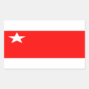 Sticker Rectangulaire Forces de défense du peuple (Myanmar)
