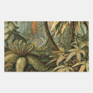 Sticker Rectangulaire Fougère Palmier Antique Botanique Fougères Art