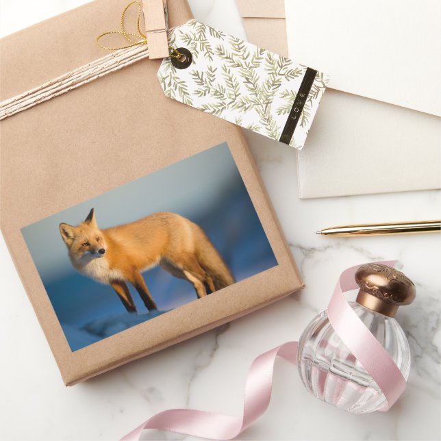 Sticker rectangulaire Fox Brown (Cadeaux)