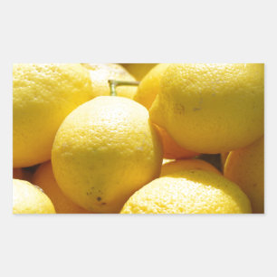 Sticker Rectangulaire Fruits : Citrons