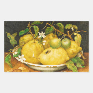 STICKER RECTANGULAIRE FRUITS DE SAISON LÉMONS ET FLEURS BLANCHES