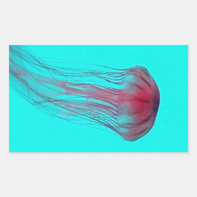 Sticker Rectangulaire Fuschia méduse rose sur Aqua Blue Green (Devant)
