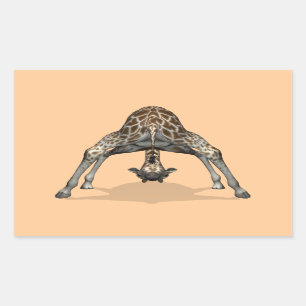 Sticker Rectangulaire Girafe flexible