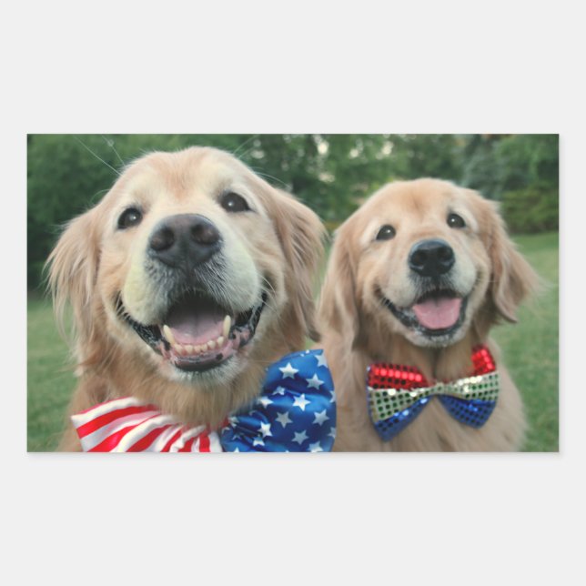 Sticker Rectangulaire Golden Retrivers in Bow Cravate Independence Day (Devant)