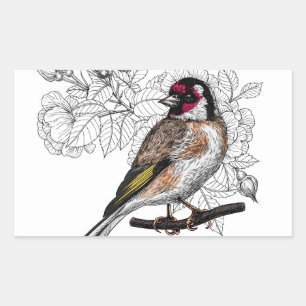 Sticker Rectangulaire Goldfinch et rose