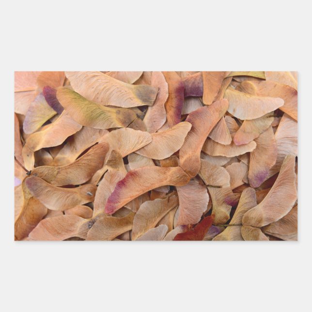 Sticker Rectangulaire graines d'érable texture motif nature arrière - pl (Devant)