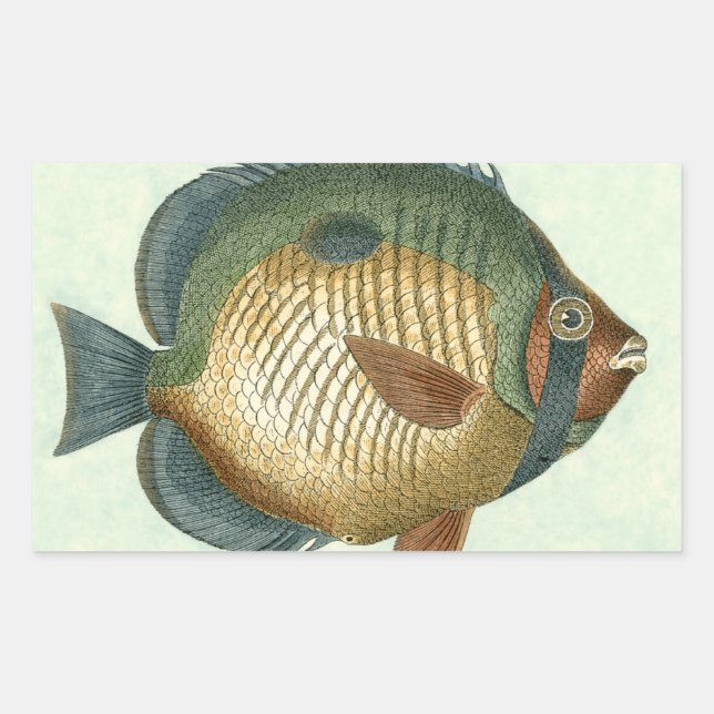 Sticker Rectangulaire Grand Poisson Coloré (Devant)