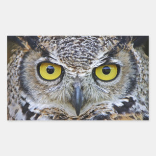 Sticker Rectangulaire grened owl