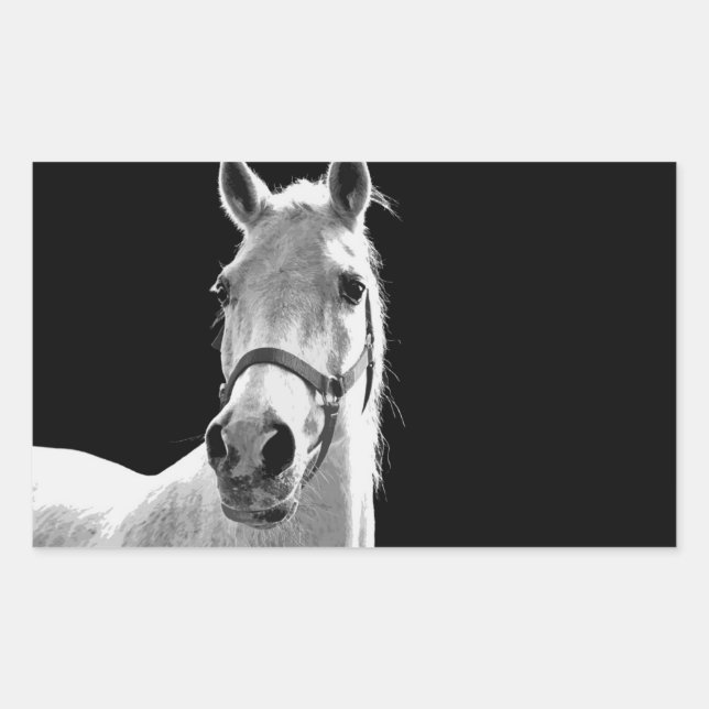 Sticker Rectangulaire Gros plan Cheval blanc noir en nuit (Devant)