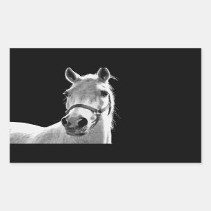 Sticker Rectangulaire Gros plan Cheval blanc noir en nuit
