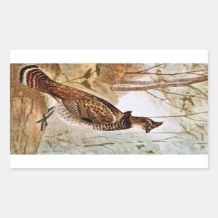 Sticker Rectangulaire Grouse de Ruffed