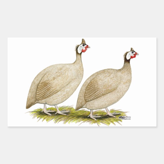Sticker Rectangulaire Guineas Buff Dundotte Fowl (Devant)