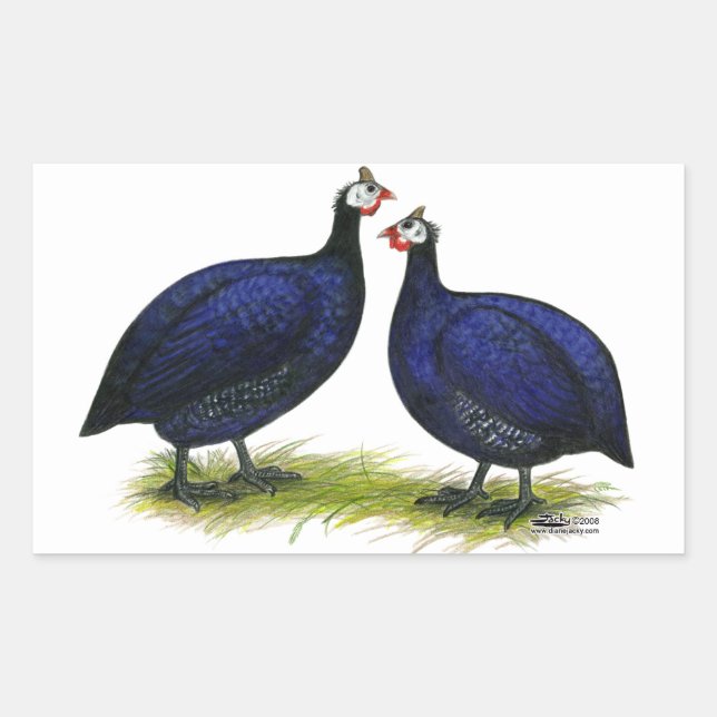 Sticker Rectangulaire Guineas Royal Purple Pair (Devant)