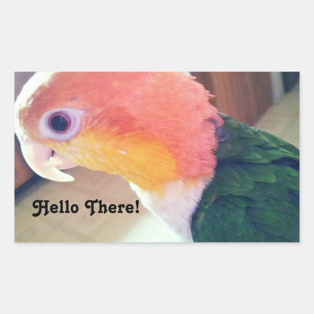 Sticker Rectangulaire Hello There Bird (Devant)
