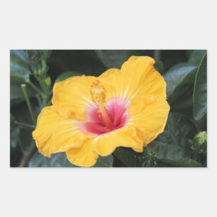 Sticker Rectangulaire hibiscus jaune