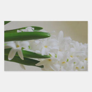 Sticker Rectangulaire Hyacinth