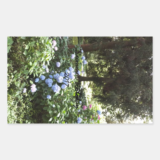 Sticker Rectangulaire Hydrangea Floral Trees Nature Photographie (Devant)