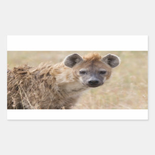 Sticker Rectangulaire Hyena