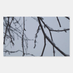 Sticker Rectangulaire Icy Branches Winter Nature Photographie