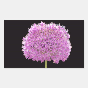 Sticker Rectangulaire Illium Summer Spring Flower - Irish Design