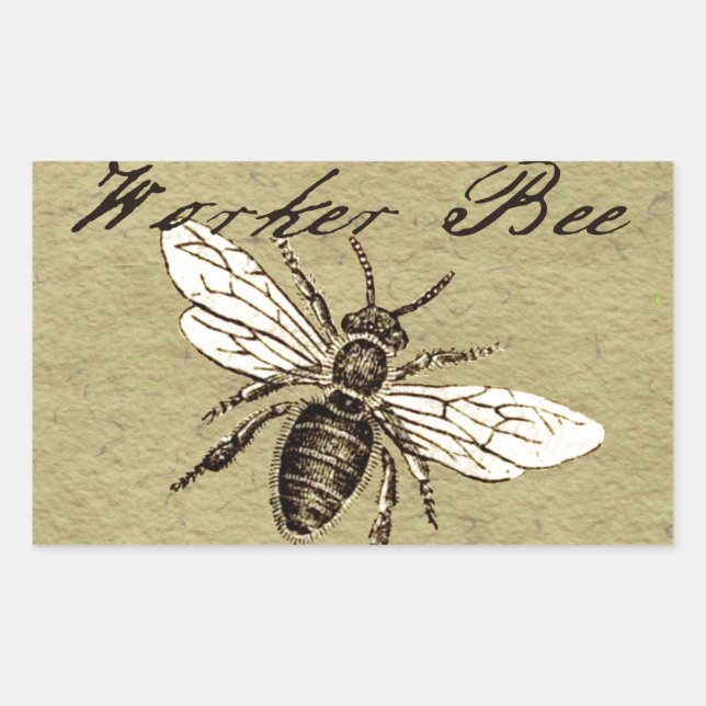 Sticker Rectangulaire Illustration de l'insecte d'abeille vintage (Devant)